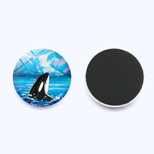 Dettaglio del magnete da frigo 25mm in vetro con orca e ghiacciaio e retro magnetico morbido