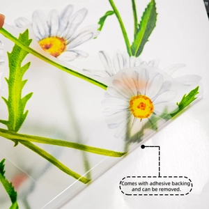 Close-up of translucent daisy floral wall sticker showing adhesive backing and texture