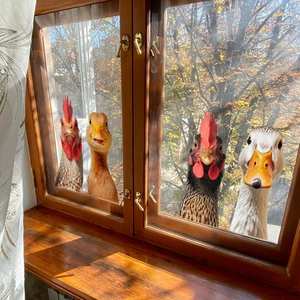 Divertidas calcomanías de ventana con gallos y patos realistas para decorar el hogar