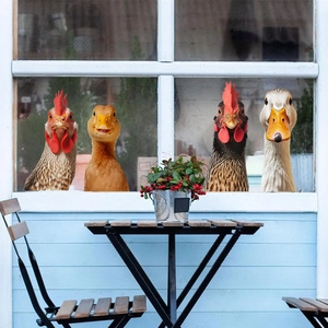 Divertidas pegatinas 3D para ventanas con pollos y gansos asomándose al interior