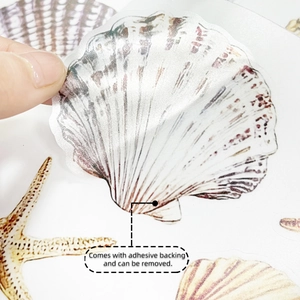 Macro detail of a thin scallop shell wall sticker with self-adhesive backing