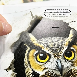 Dettaglio dell'adesivo murale 3D con gufo che mostra il supporto adesivo rimovibile