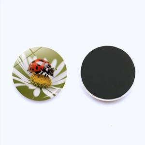 Ladybug and daisy crystal glass refrigerator magnet with flexible magnetic backing