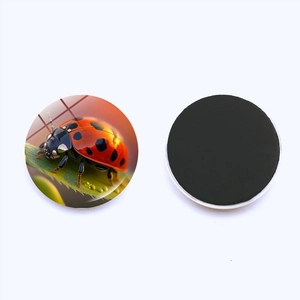 25mm ladybug fridge magnet with crystal glass dome and soft magnetic base decoration