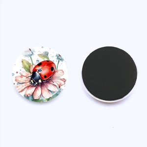 Macro detail of round ladybug fridge magnet with crystal glass and soft magnetic back