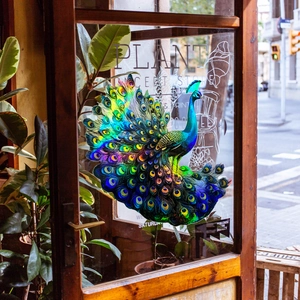 Rainbow laser peacock wall sticker for glass doors with vibrant holographic color shifts