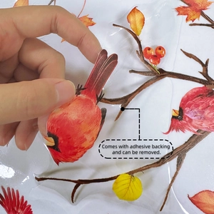 Detalle del adhesivo para ventanas con pájaro cardenal siendo retirado para fácil aplicación