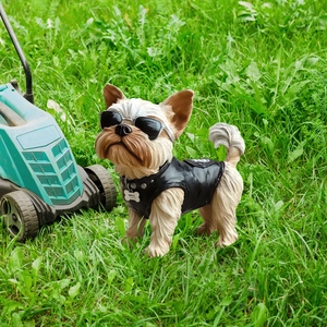 Cool Yorkshire Terrier garden statue wearing sunglasses and black leather vest on lawn