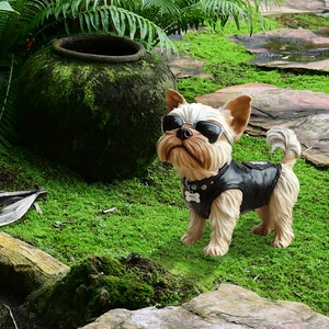 Cool Yorkshire Terrier garden statue wearing sunglasses and a black leather biker vest