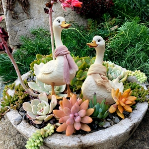 Garden duck figurines with colorful scarves set in a succulent pot for outdoor decoration
