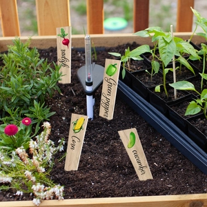 Garden wooden plant markers with vegetable illustrations and English labels in soil