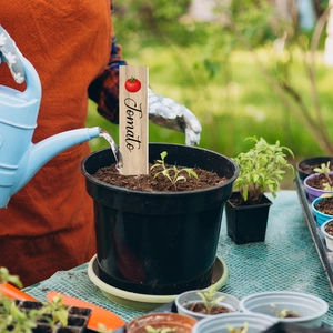 Garden vegetable plant markers with wood grain finish and tomato icon for garden decor