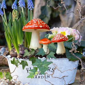 Drei rote Fliegenpilz Gartenstecker Set im rustikalen Blumentopf für Gartendekoration
