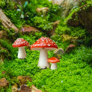 Makroaufnahme von drei rot gepunkteten Pilz-Steckern in saftig grünem Gartenmoos