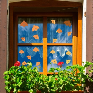 Vibrant orange butterfly window stickers for home decor on a glass window background