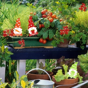 Garden gnomes vegetable plug set with carrot tomato and cabbage for garden decor