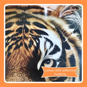 Macro close-up of realistic tiger eye wall sticker with self-adhesive backing details