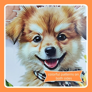 Close-up of Pomeranian dog window sticker with colorful patterns on both sides
