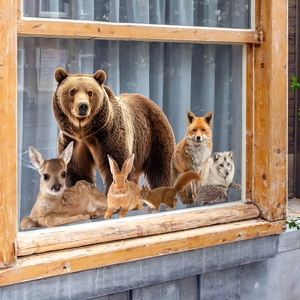 Detailed realistic forest animal window stickers featuring bear, deer, and fox on glass