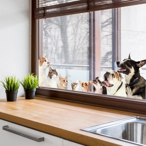 Creative double-sided peek-a-boo cat and dog static window stickers for glass decor
