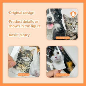 Stickers de fenêtre imperméables chat et chien avec effet visuel double face