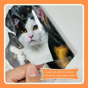 Autocollant transparent pour fenêtre avec motifs de chats et support adhésif