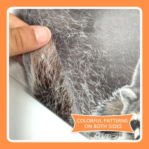 Double-sided digital print raccoon window sticker showing high-quality vibrant patterns