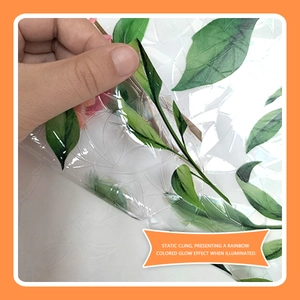 Detail of static cling glass film with green leaves showing rainbow effect in sunlight