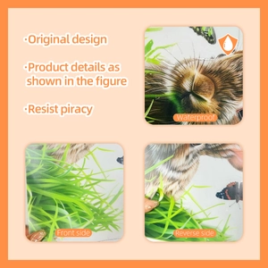 Double-sided waterproof window stickers with cartoon rabbits, butterflies and grass patterns