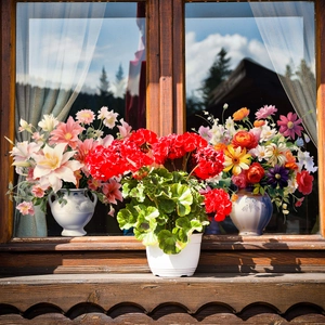 Static cling window stickers with vintage colorful potted plants on glass window decor