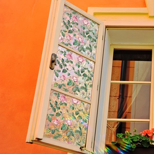 Close-up of frosted window film featuring floral patterns with rainbow light refraction