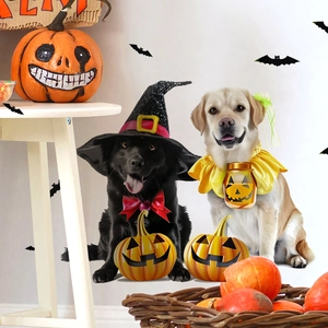 Halloween Hunde Kostüm Set mit Hexenhut, Fliege und Kürbishalsband für Haustier Dekoration