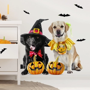 Halloween Haustier Hexenhut und Kürbis Fliege Set für kleine Hunde mit Fledermausdeko
