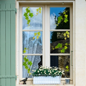 Realistic green vine window stickers displayed on a bright glass pane with floral decor