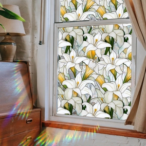 Film décoratif pour fenêtre motif iris avec effet arc-en-ciel pour l'intimité