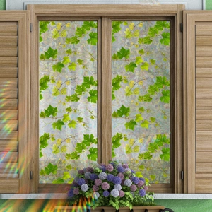 Rainbow effect window film with green vine patterns for privacy and home decoration