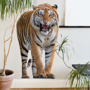 Realistic 3D Bengal tiger wall sticker with roaring effect for living room decoration