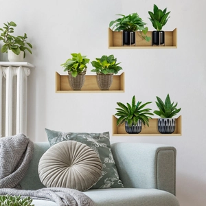 Three-piece U-shaped wooden wall shelves set with natural finish for plants and decor
