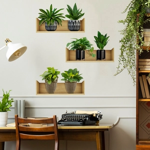 Three minimalist U-shaped wooden floating shelves for wall decor with potted plants
