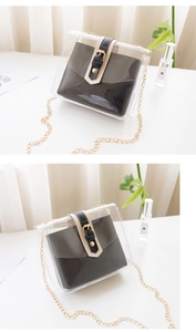 Macro detail of transparent PVC bag featuring golden chain strap and inner pouch