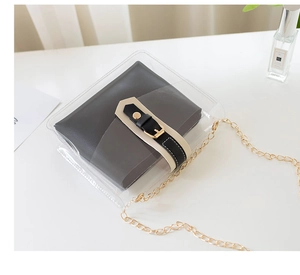 Detailed shot of a transparent PVC crossbody bag with a grey inner pouch and gold chain strap