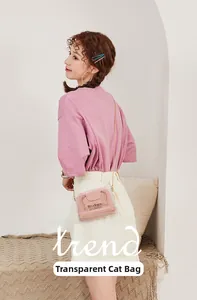 Detail of pink transparent cat-ear crossbody bag with gold chain strap on model