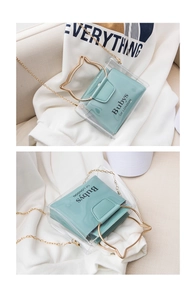 Detail of transparent PVC bucket bag featuring golden cat-ear metal handles and chain strap