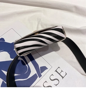 Detail of zebra stripe printed mini square waist bag with detachable leather strap