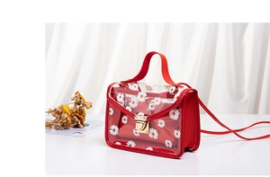 Macro detail of red daisy print transparent PVC bag with golden metal clasp and inner pouch