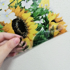 Detail of transparent sunflower wall sticker being peeled off a white textured wall