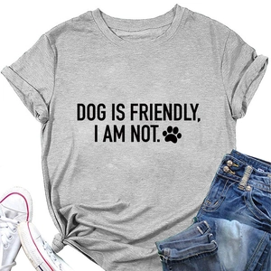 Detail of casual grey cotton T-shirt featuring 'DOG IS FRIENDLY' print with denim shorts