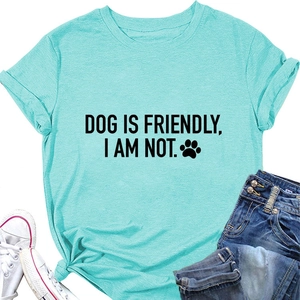 Flat lay of light teal t-shirt with Dog Is Friendly slogan, jeans, and sneakers