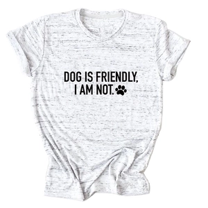 Detail of Dog Is Friendly slogan print on a marl grey round neck cotton t-shirt