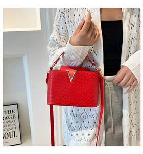 Close-up of a red woven leather handbag featuring a golden V-shaped metal buckle and strap